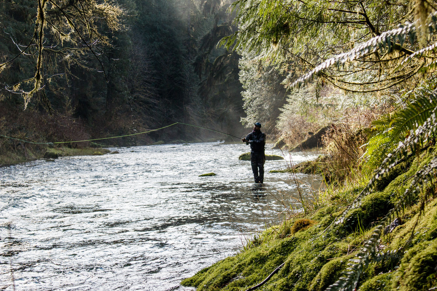 steelhead-fishing-umpqua-river